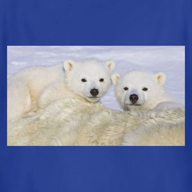 polarbears
