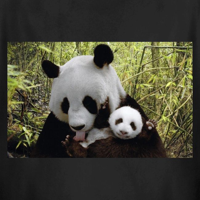 panda