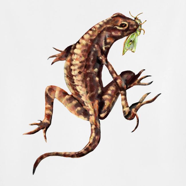 Lizard and bug