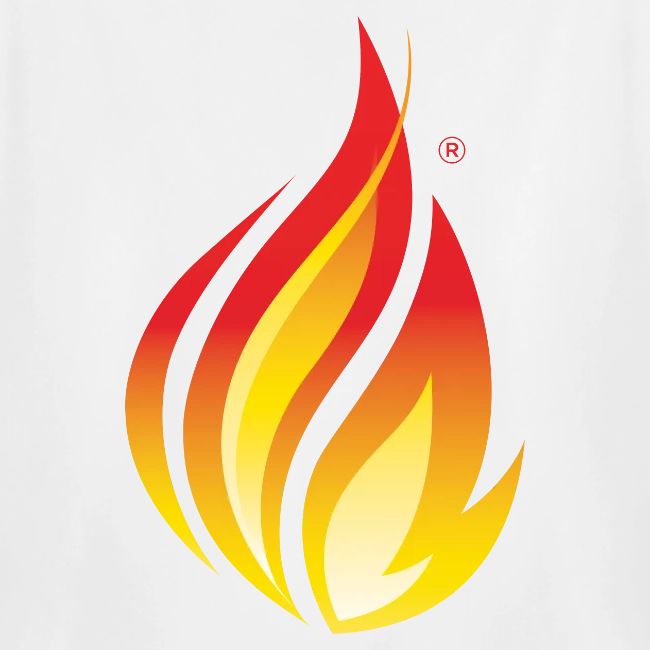 HL7 FHIR Flame Logo