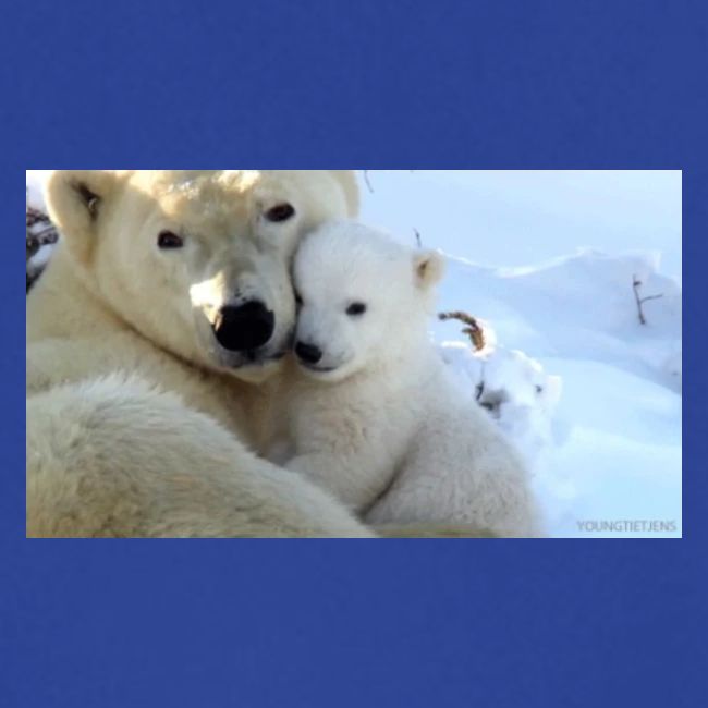 polarbearhug