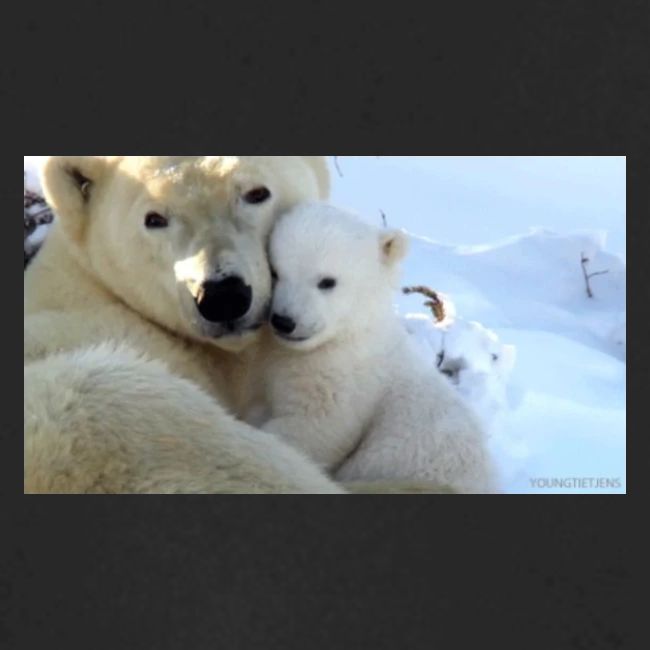 polarbearhug