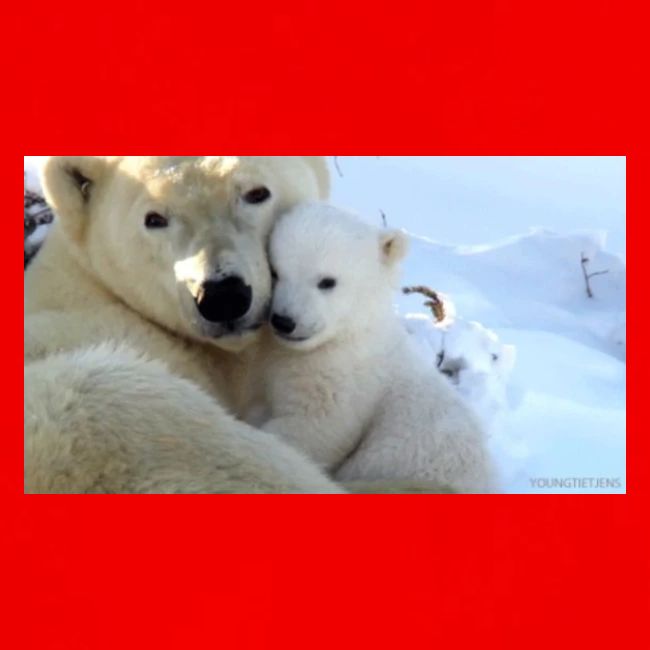polarbearhug