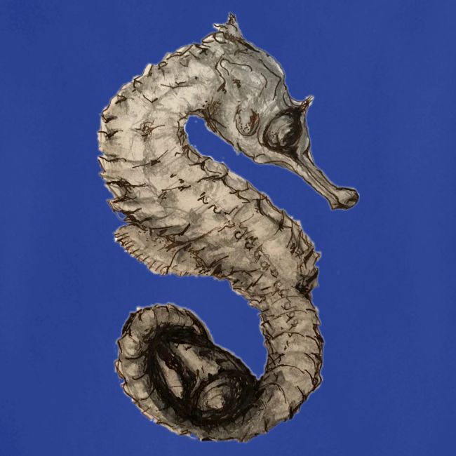 seahorse with sea shell