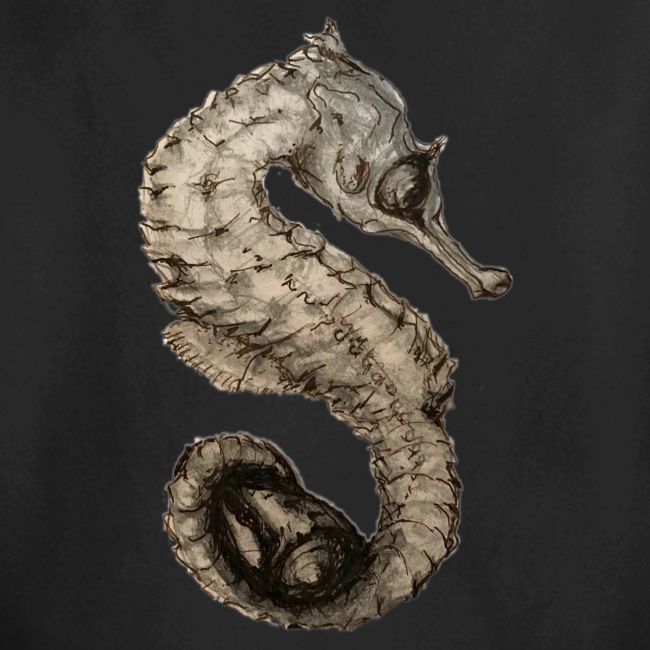 seahorse with sea shell
