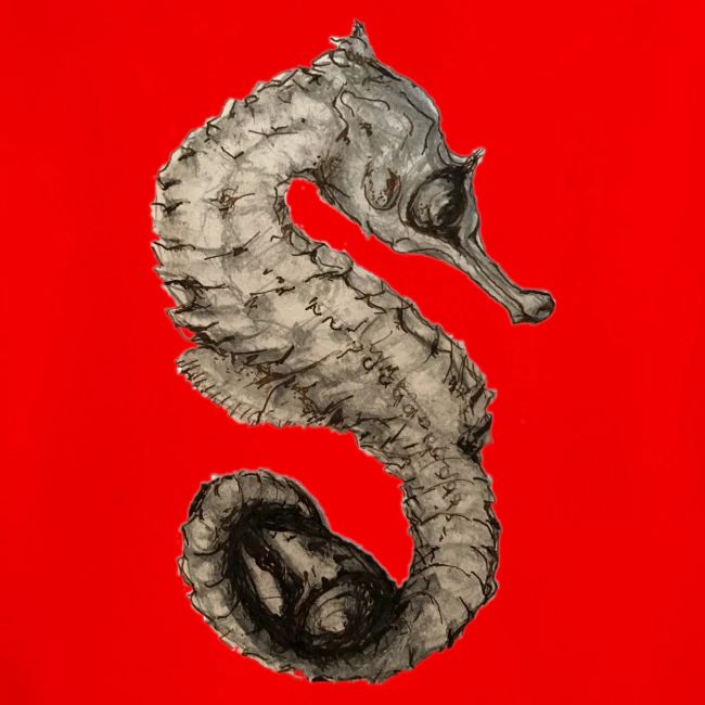 seahorse with sea shell