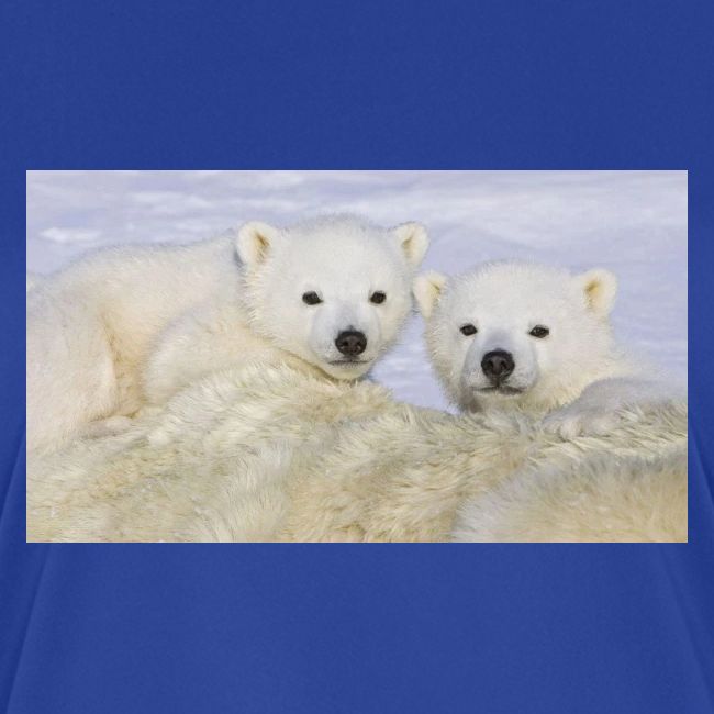 polarbears