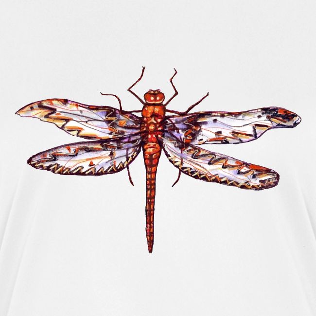 Dragonfly red