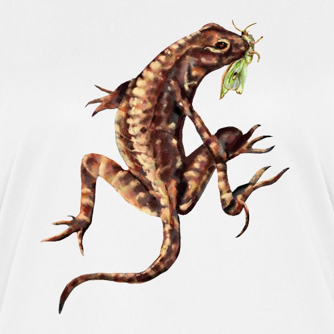 Lizard and bug