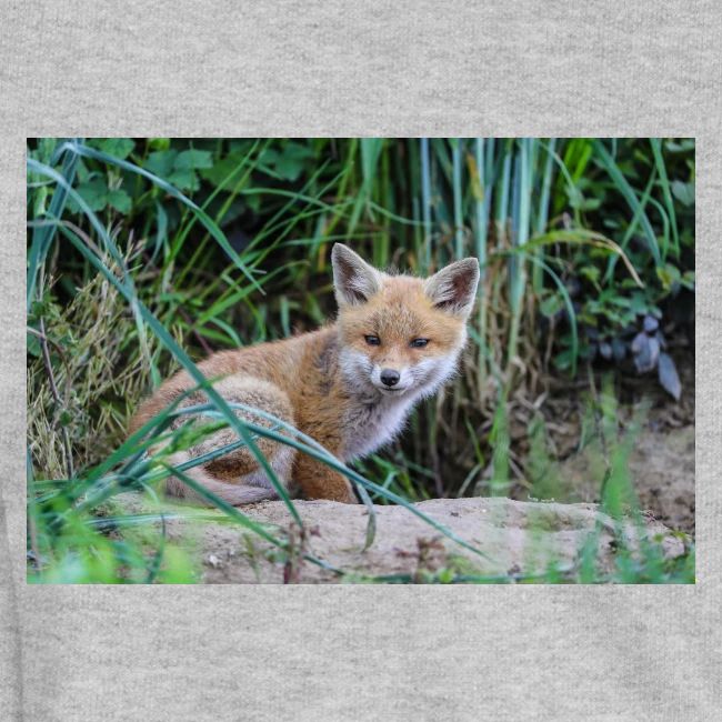 fox