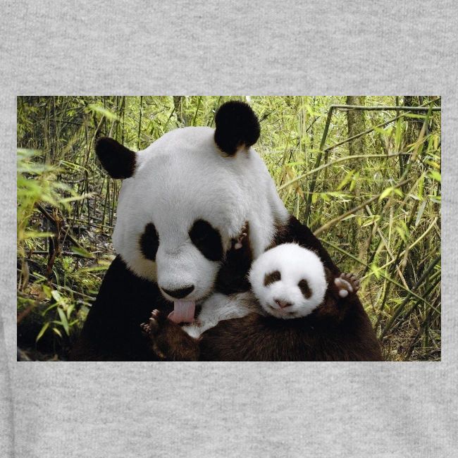 panda