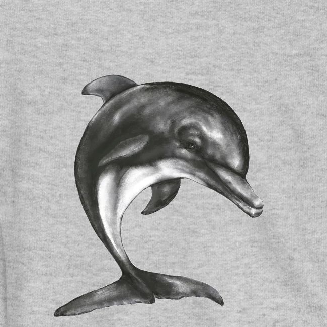 dolphin transparent background