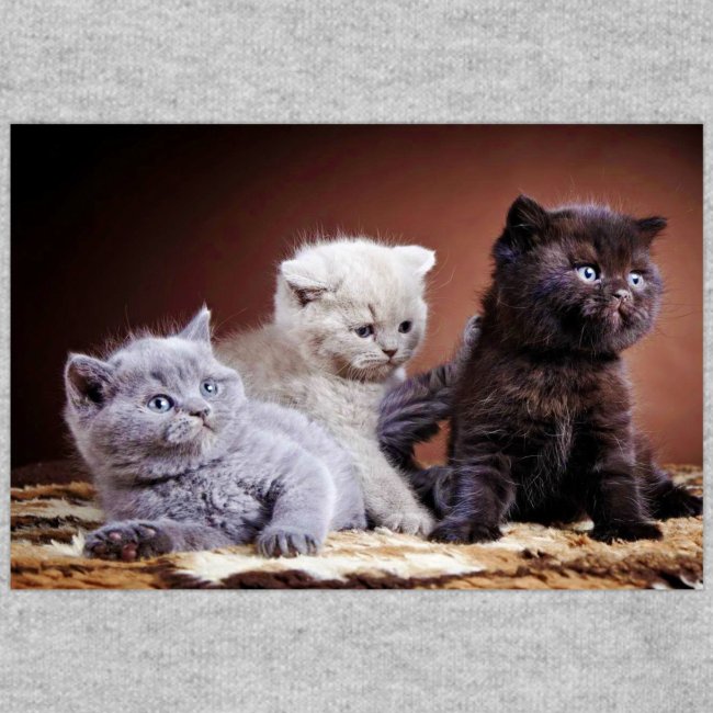 The 3 little kittens