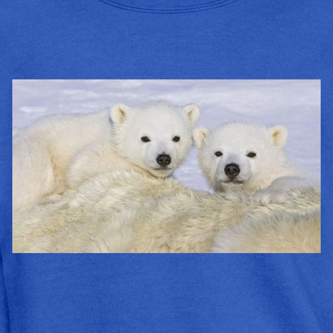 polarbears