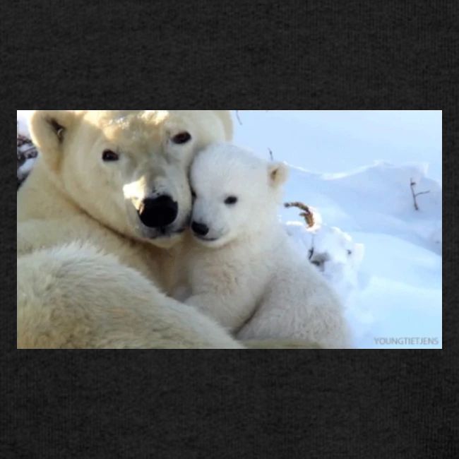 polarbearhug