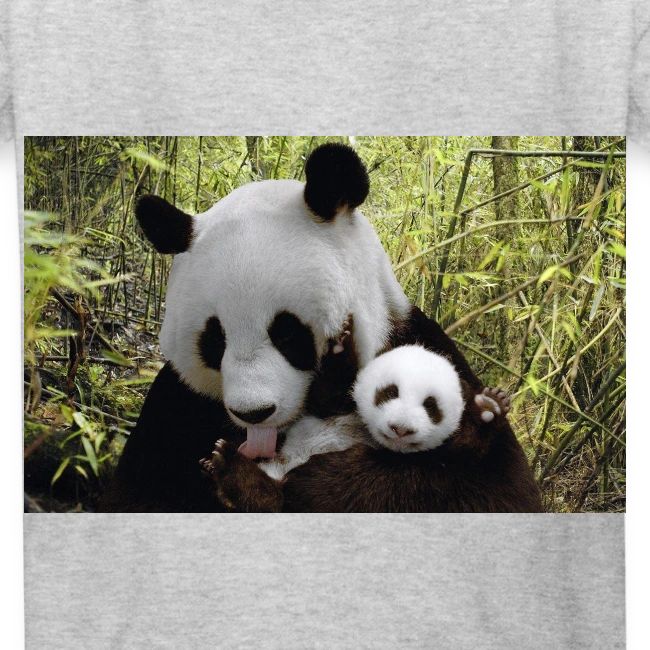 panda
