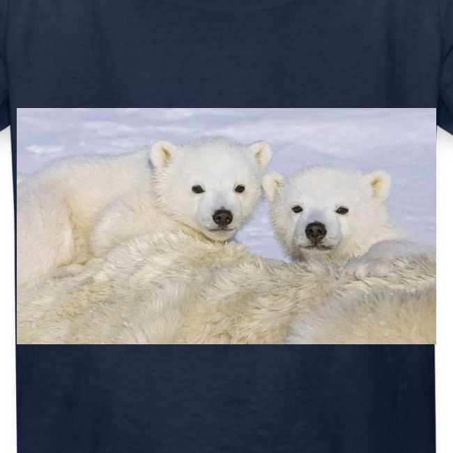 polarbears