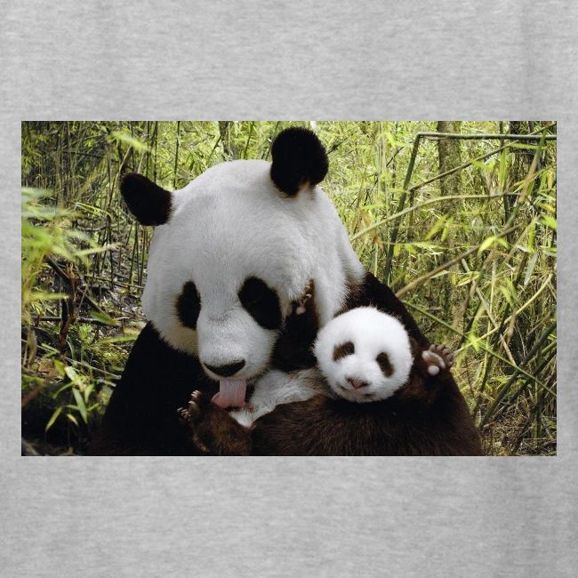 panda