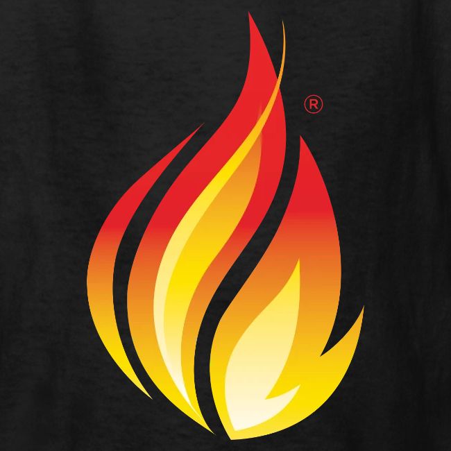 HL7 FHIR Flame Logo