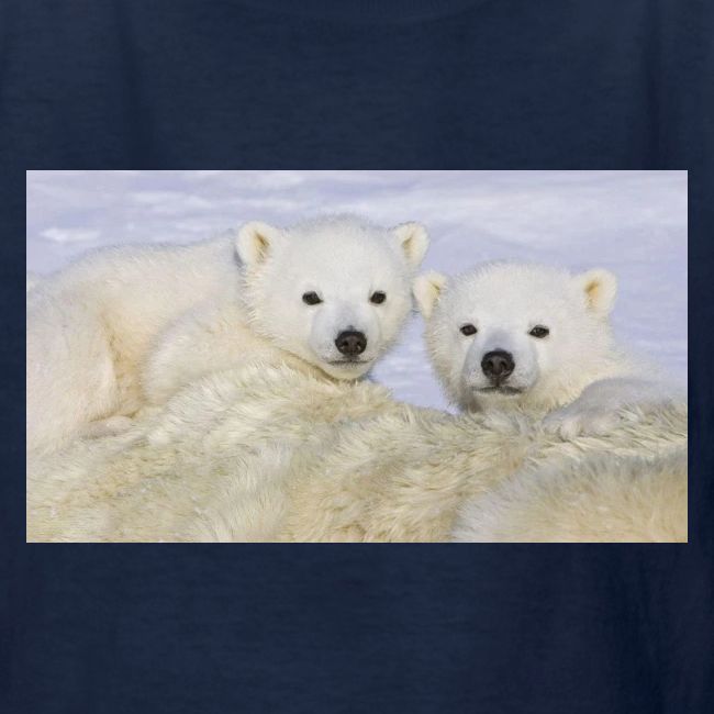 polarbears