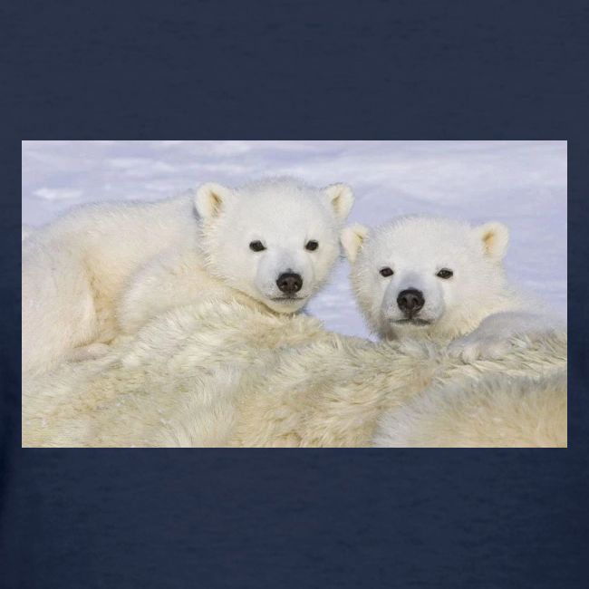 polarbears