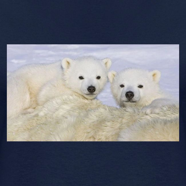 polarbears