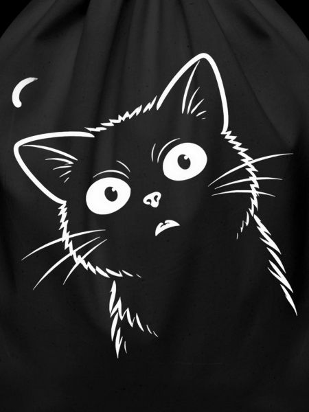 Surprised cat.