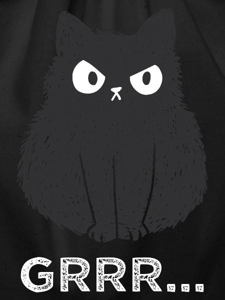 funny cat