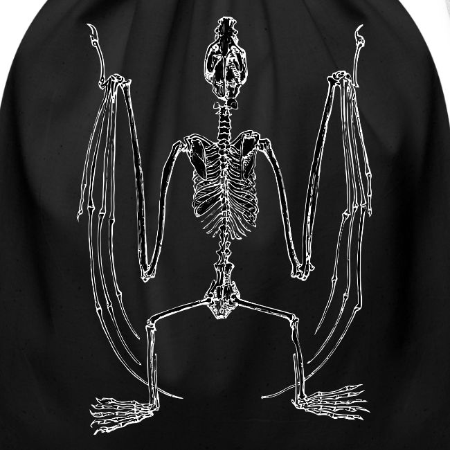 Bat Skeleton