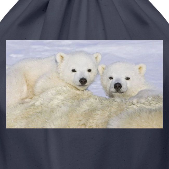 polarbears