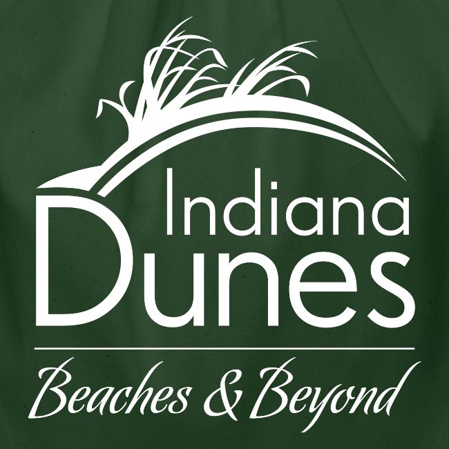 Indiana Dunes Beaches and Beyond
