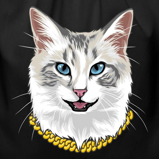 Cashmere the Cat