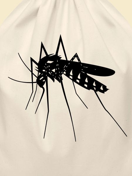 Mosquito