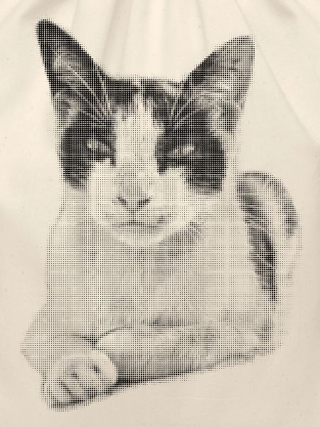 Calico Cat Halftone