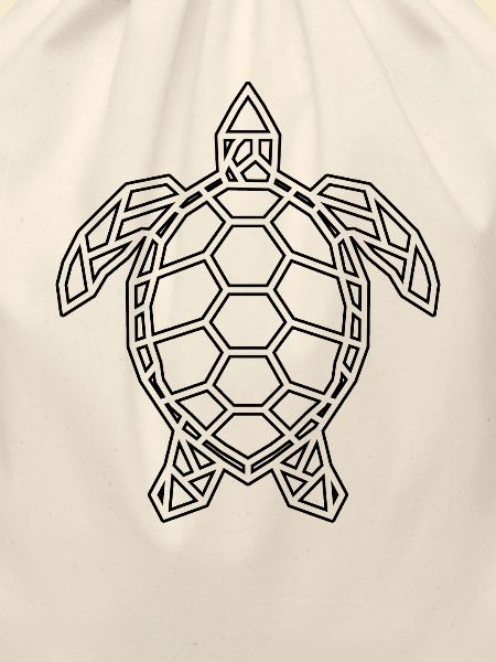 turtle polygon