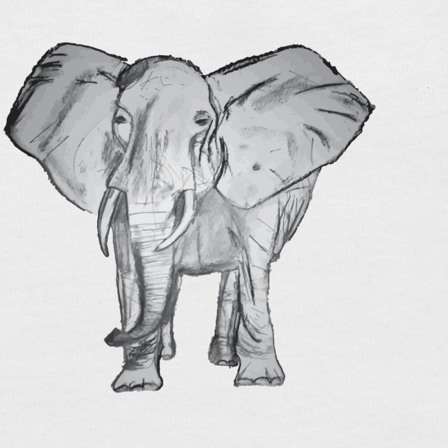 Big Elephant