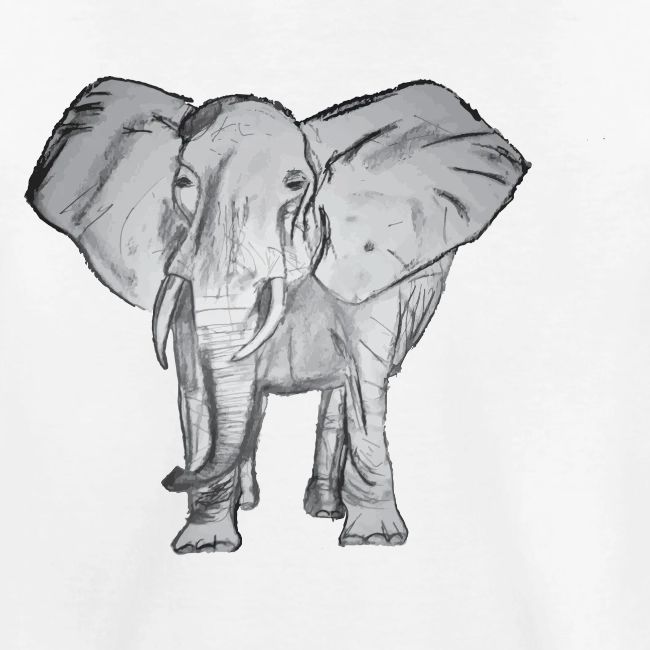 Big Elephant