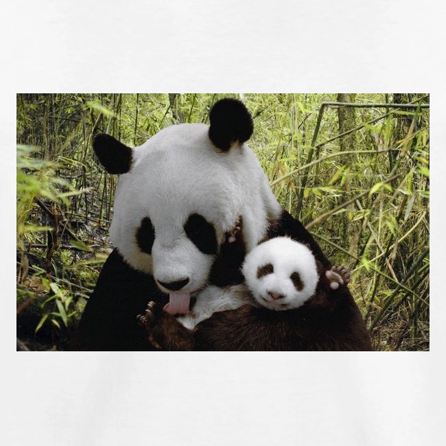 panda
