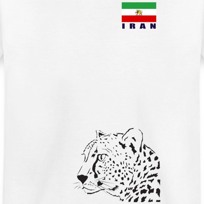 Iran Football shirt