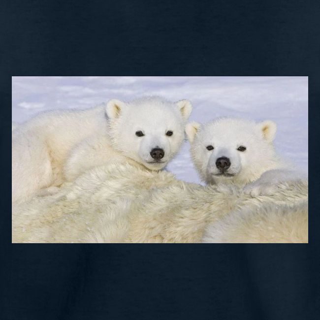polarbears