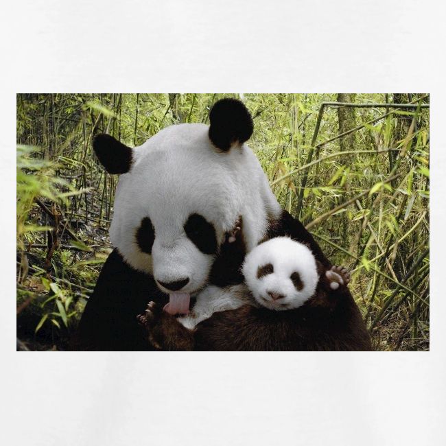 panda