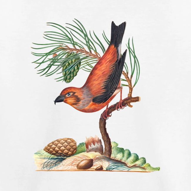 Red Crossbill