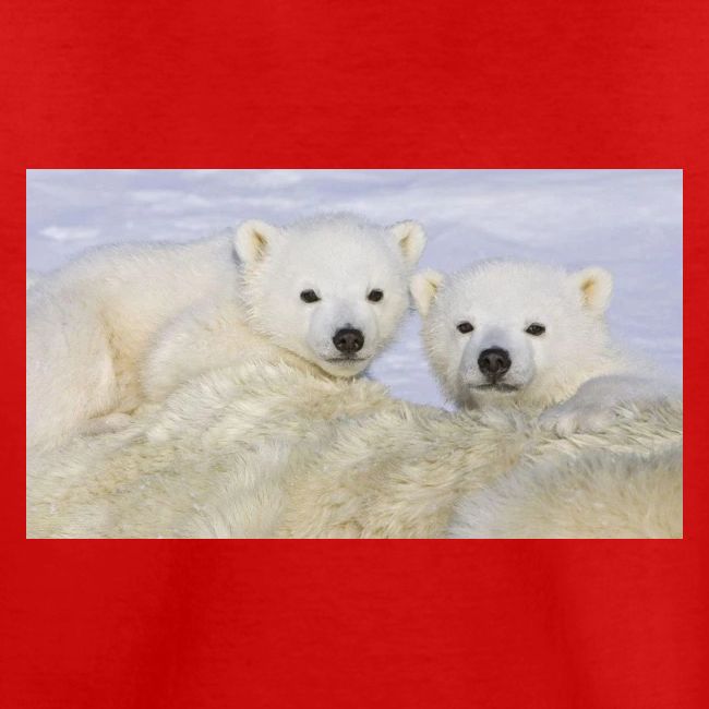 polarbears