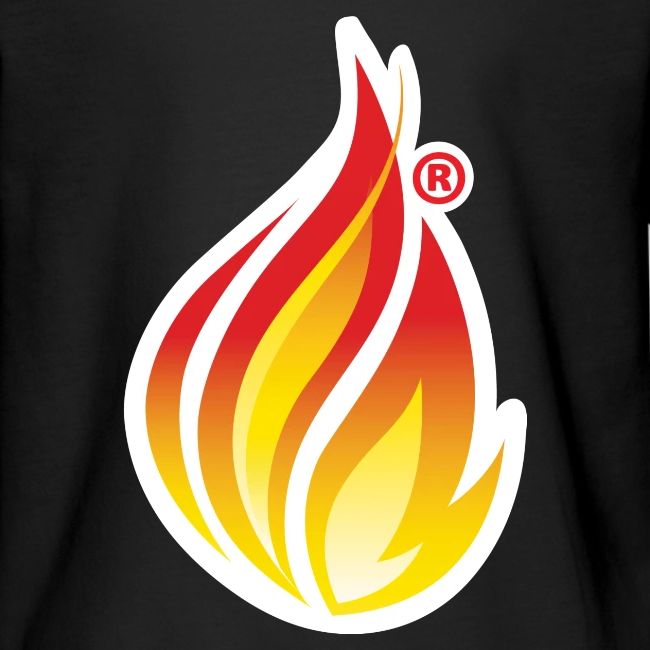 HL7 FHIR Flame graphic with white background