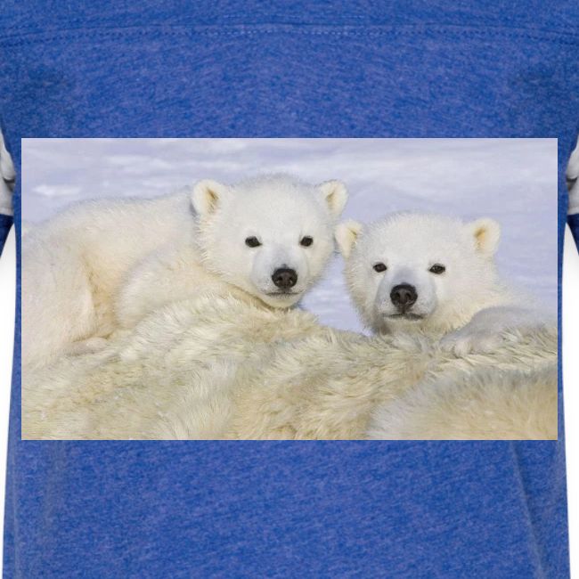polarbears