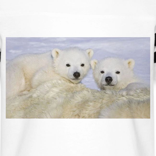 polarbears