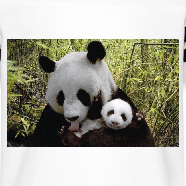 panda