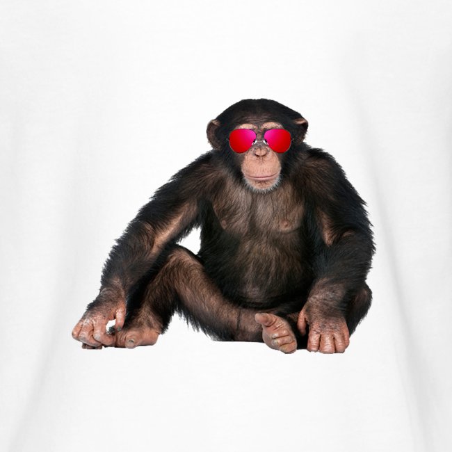 monkey wth cool sunglasses