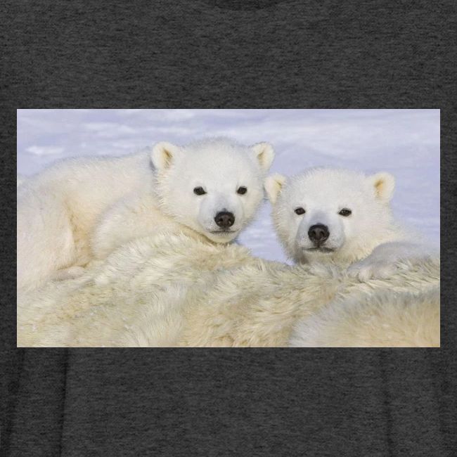 polarbears