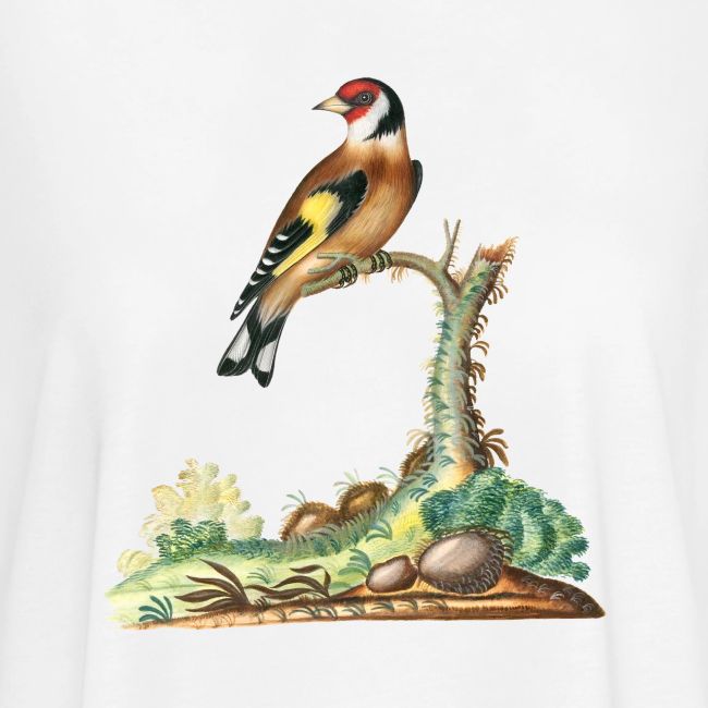 European goldfinch